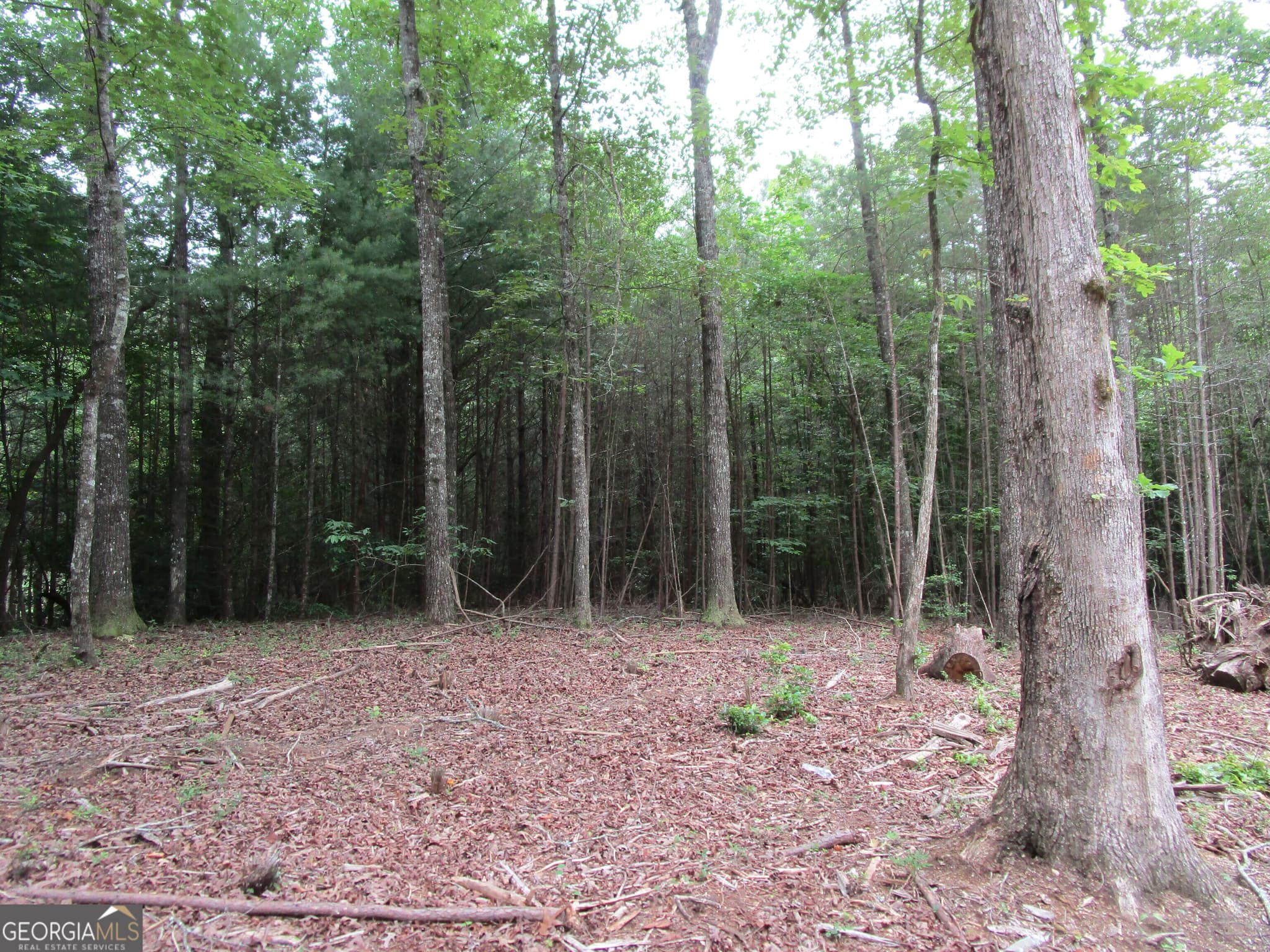 unimproved land for sale at 0 East New Hope Road TRACT A, Ellijay, GA 30536 — photo 4