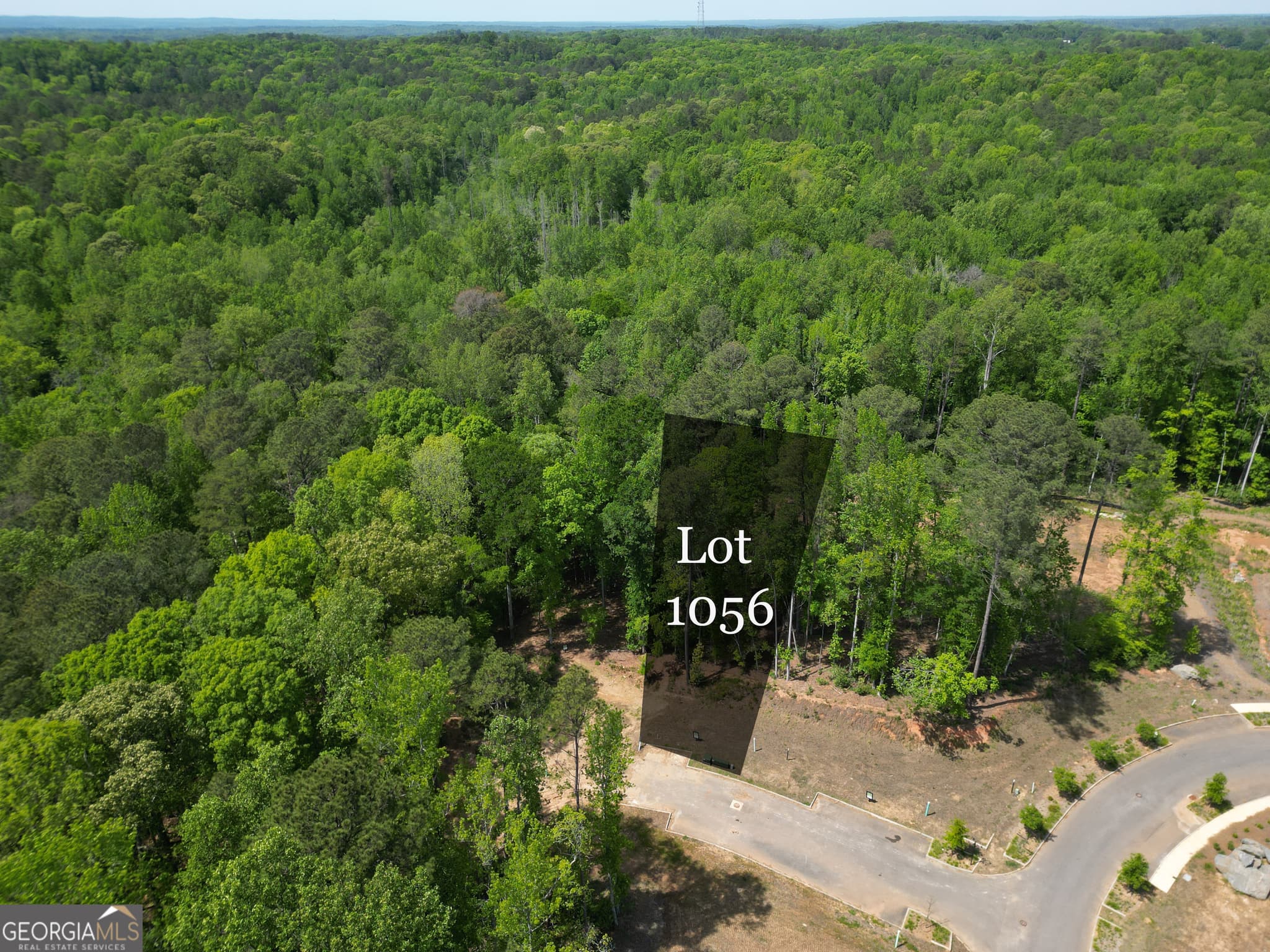 residential lot for sale at 1011 Epple Lane, Chattahoochee Hills, GA 30268 — photo 2