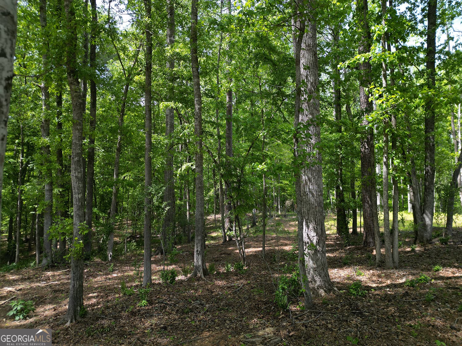 residential lot for sale at 1011 Epple Lane, Chattahoochee Hills, GA 30268 — photo 4