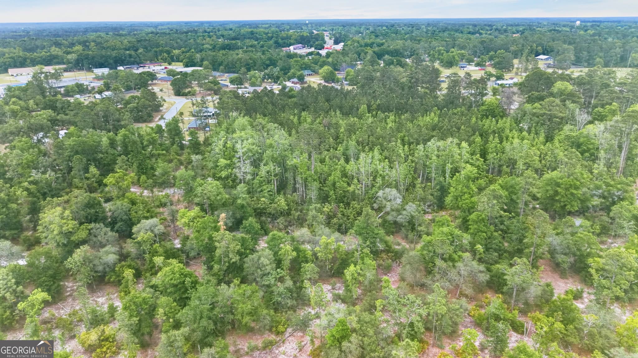 residential lot for sale at 139 Blount Street, Reidsville, GA 30453 — photo 2