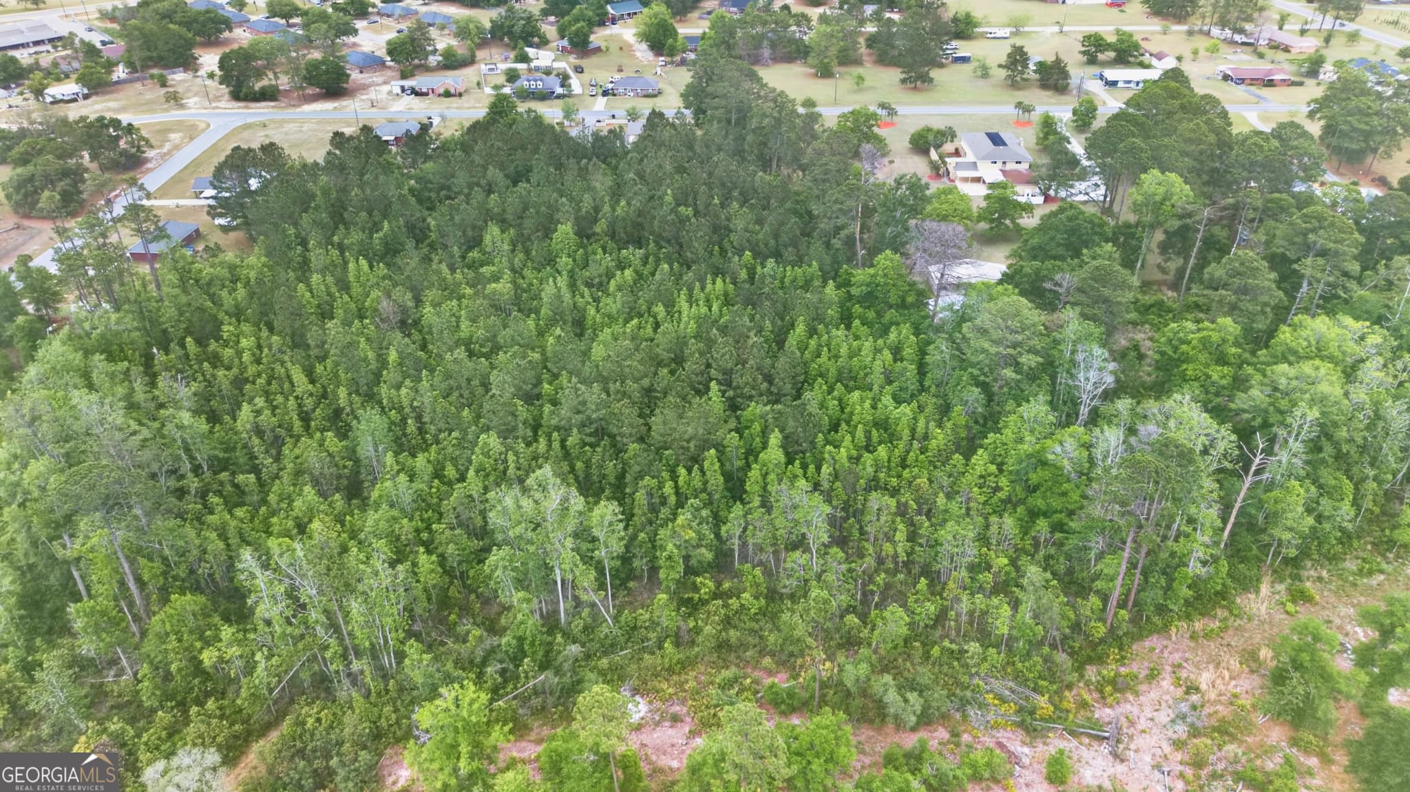 residential lot for sale at 139 Blount Street, Reidsville, GA 30453 — photo 3