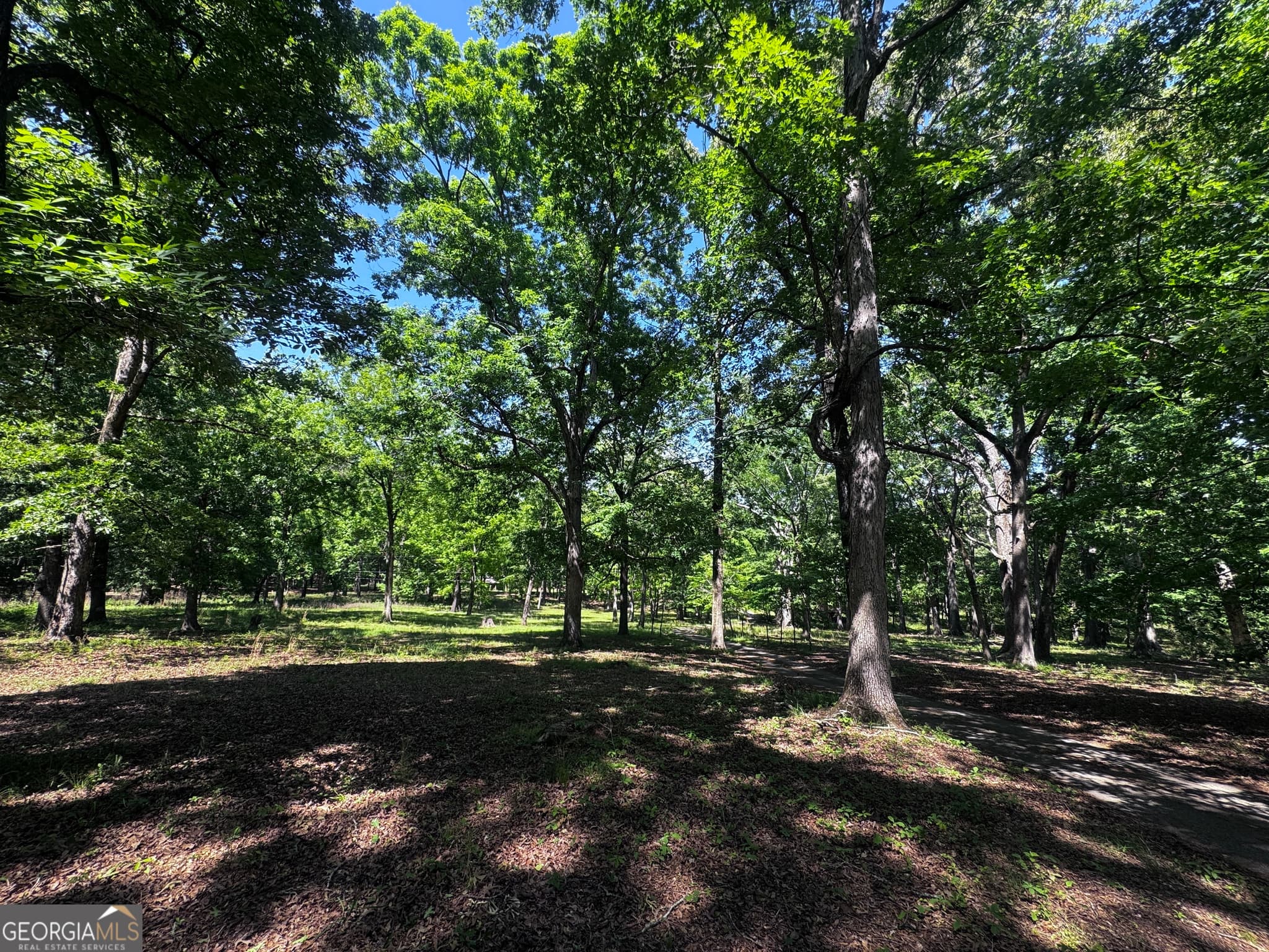 unimproved land for sale at 1980 Kilgore Road, Griffin, GA 30223 — photo 6