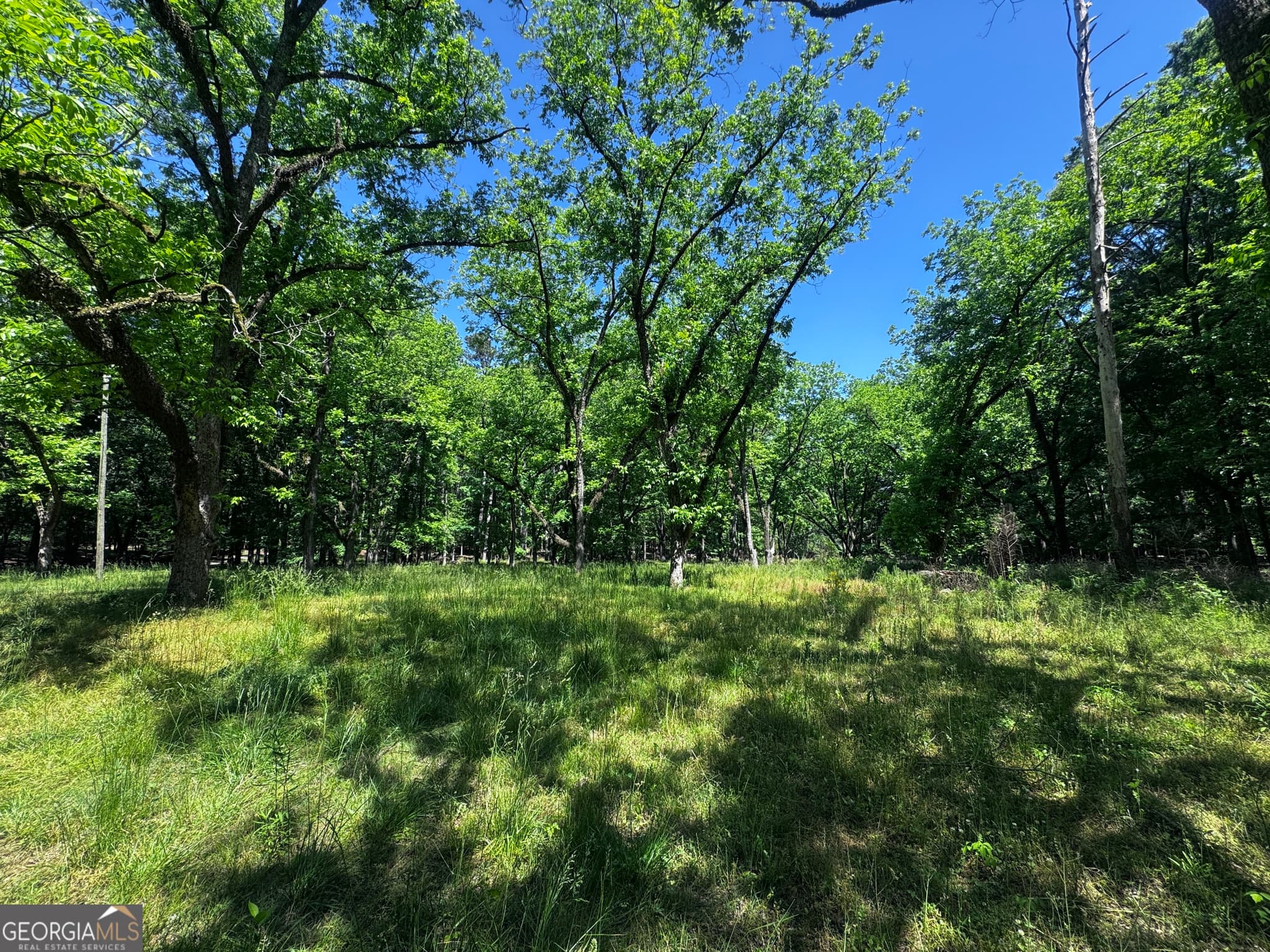 unimproved land for sale at 1980 Kilgore Road, Griffin, GA 30223 — photo 5