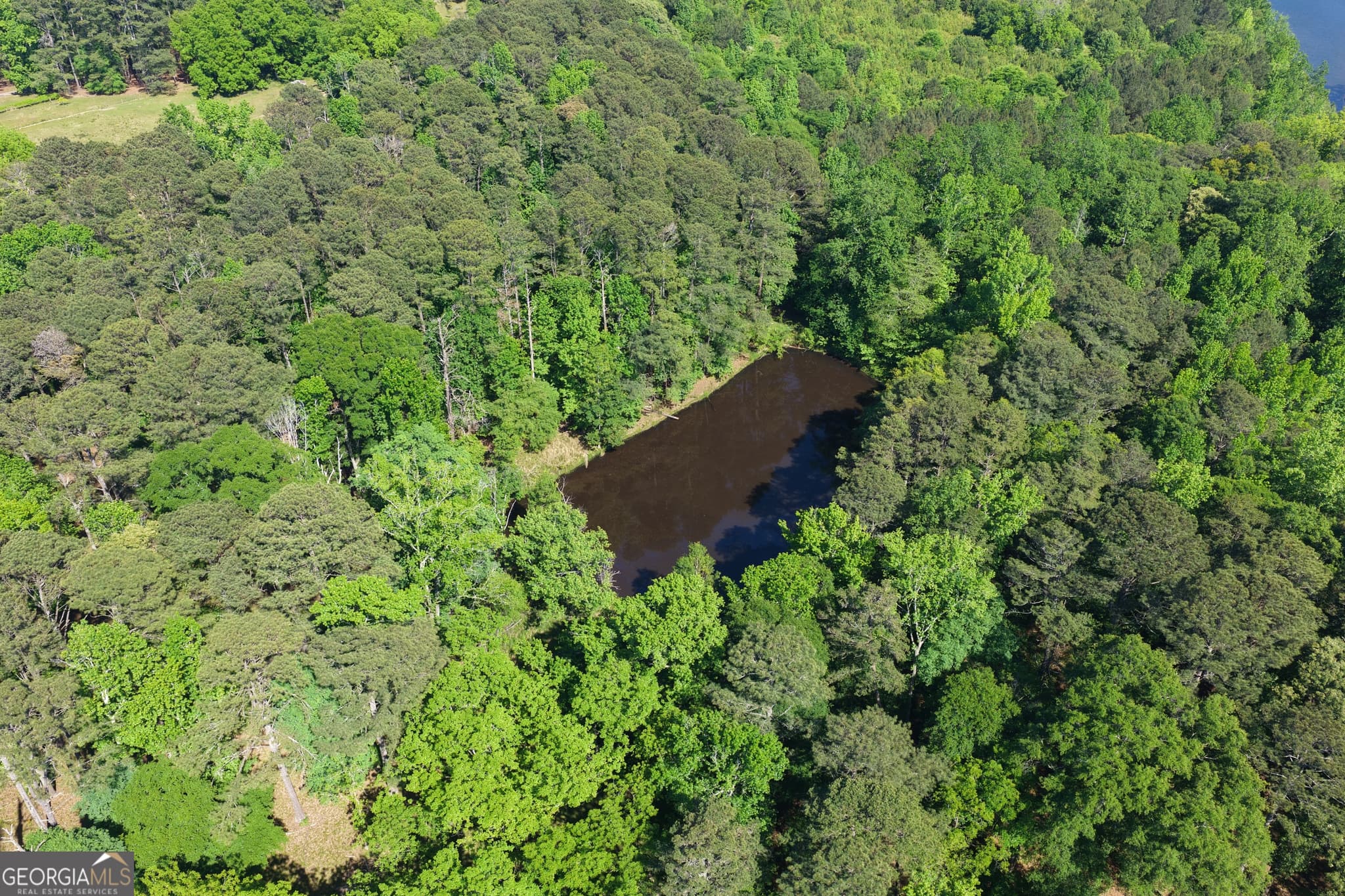 unimproved land for sale at 1980 Kilgore Road, Griffin, GA 30223 — photo 4