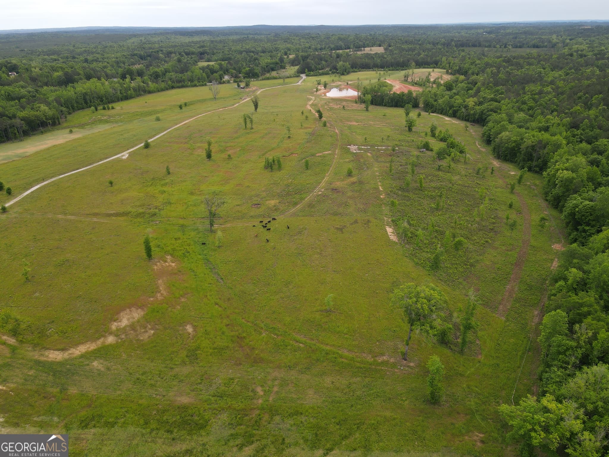 agriculture for sale at 1120 Julia Jordan Road, Roberta, GA 31078 — photo 2