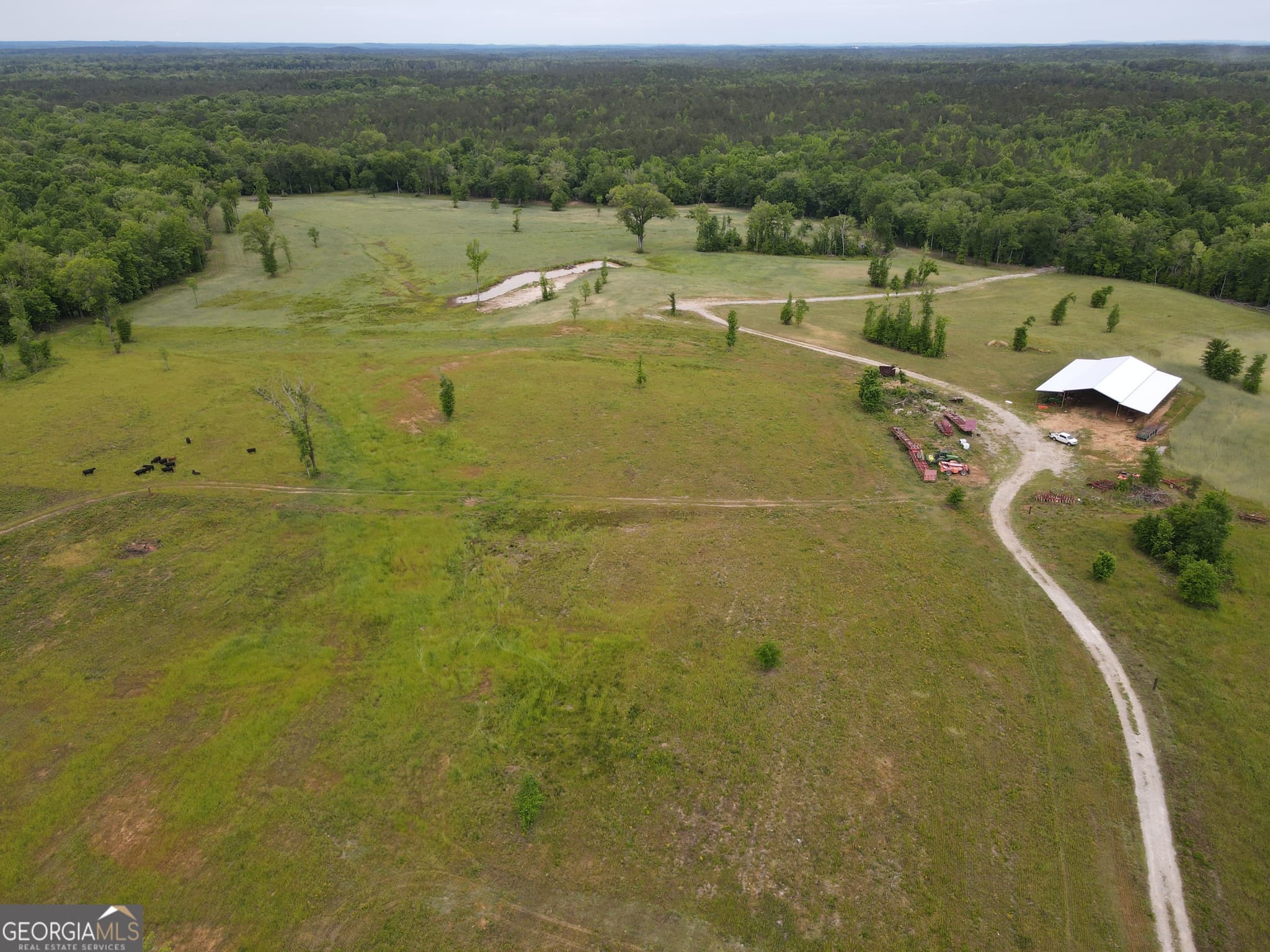 agriculture for sale at 1120 Julia Jordan Road, Roberta, GA 31078 — photo 6