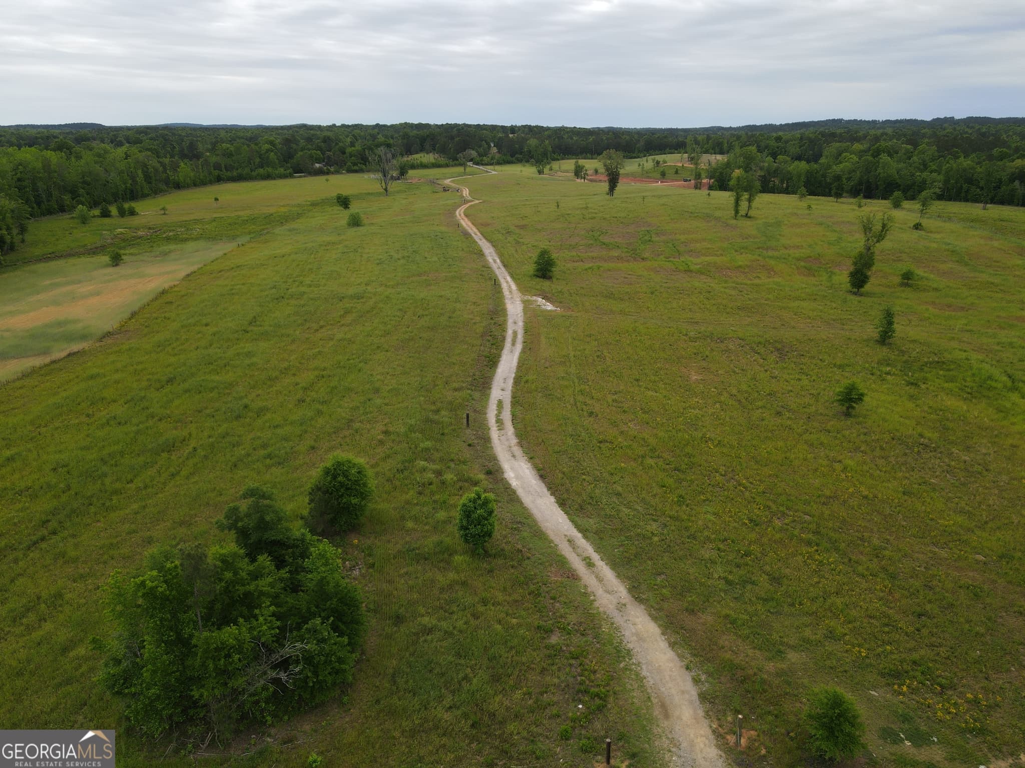 agriculture for sale at 1120 Julia Jordan Road, Roberta, GA 31078 — photo 3