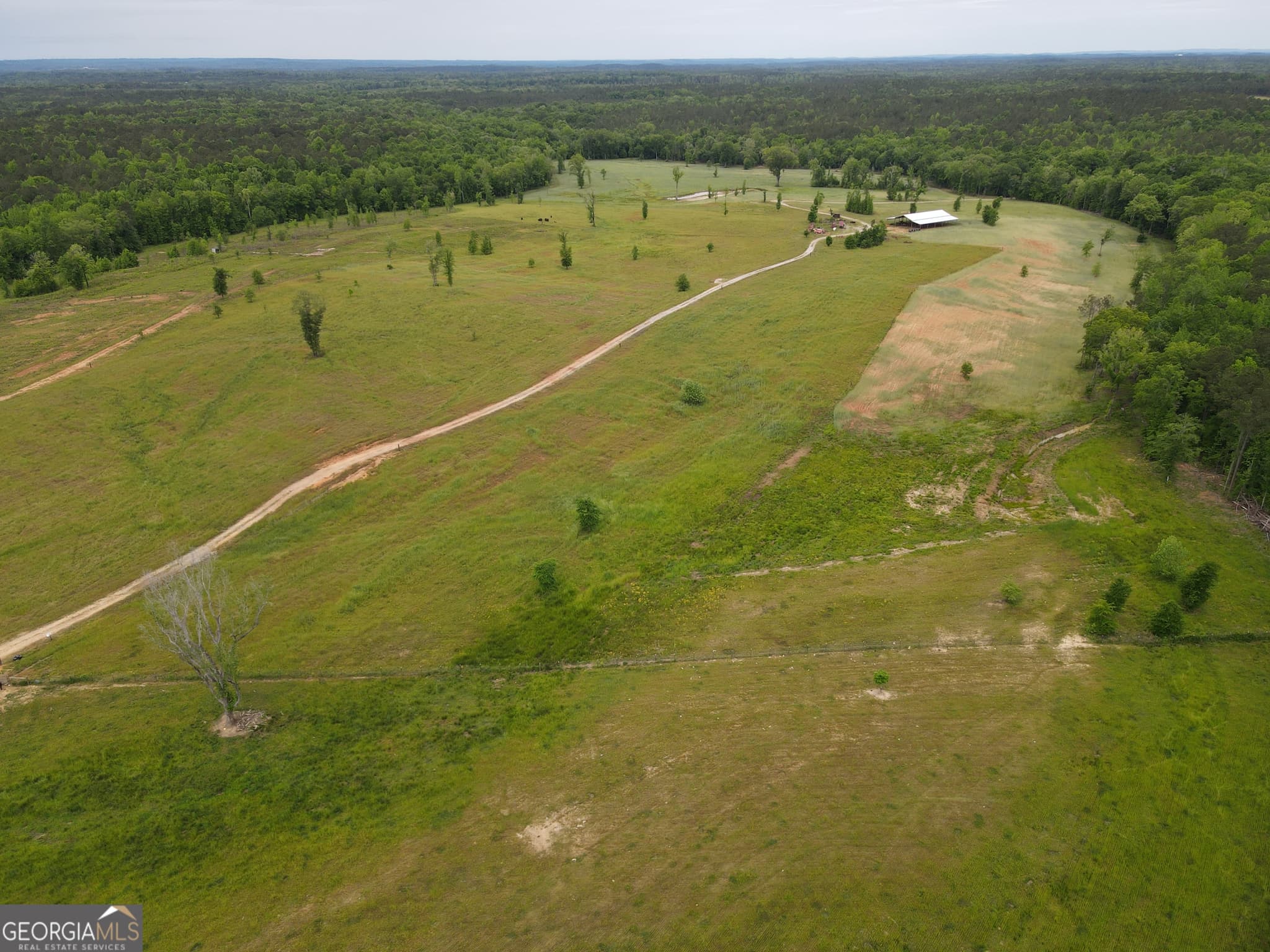 agriculture for sale at 1120 Julia Jordan Road, Roberta, GA 31078 — photo 1 of 24