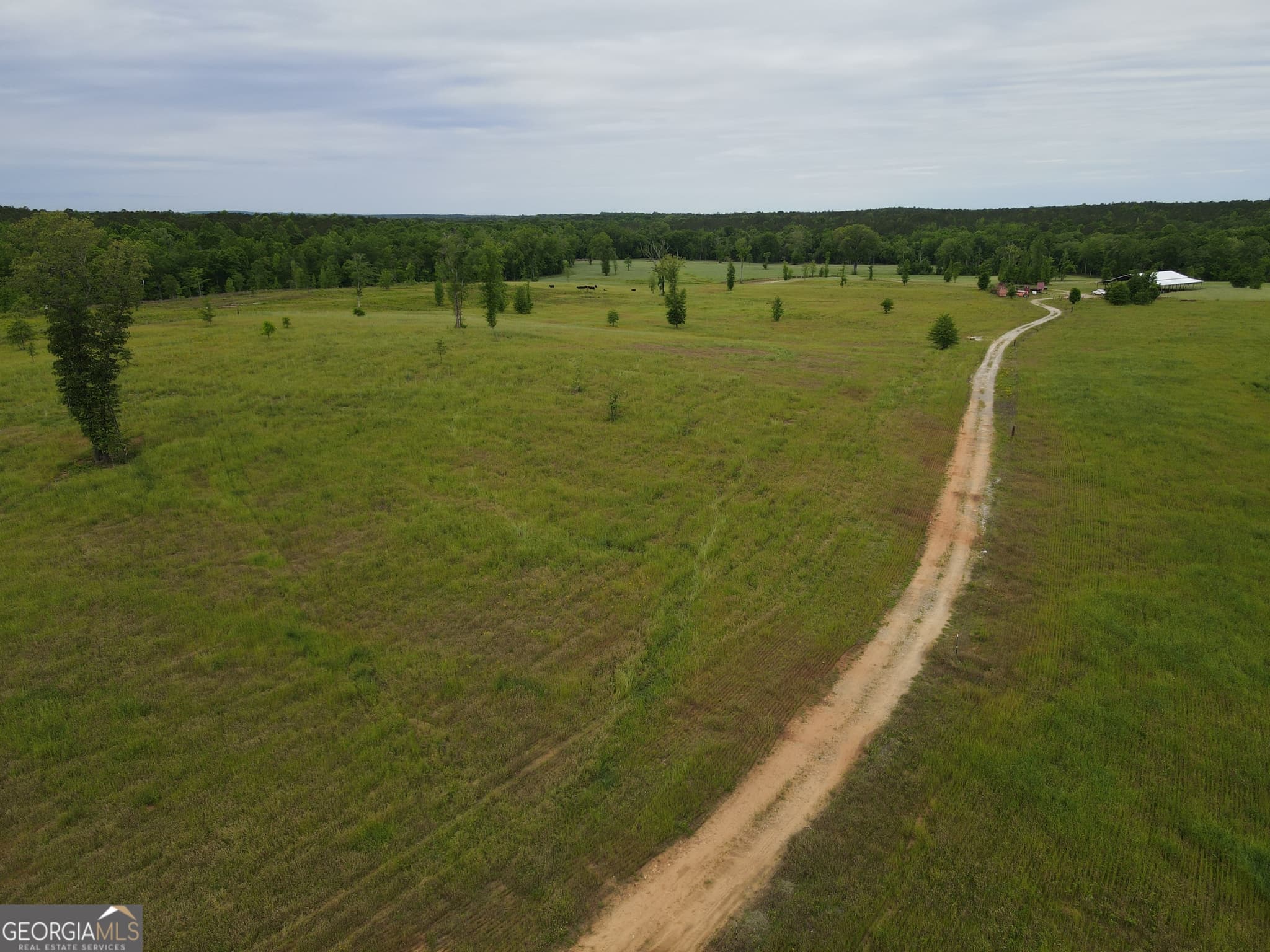 agriculture for sale at 1120 Julia Jordan Road, Roberta, GA 31078 — photo 5