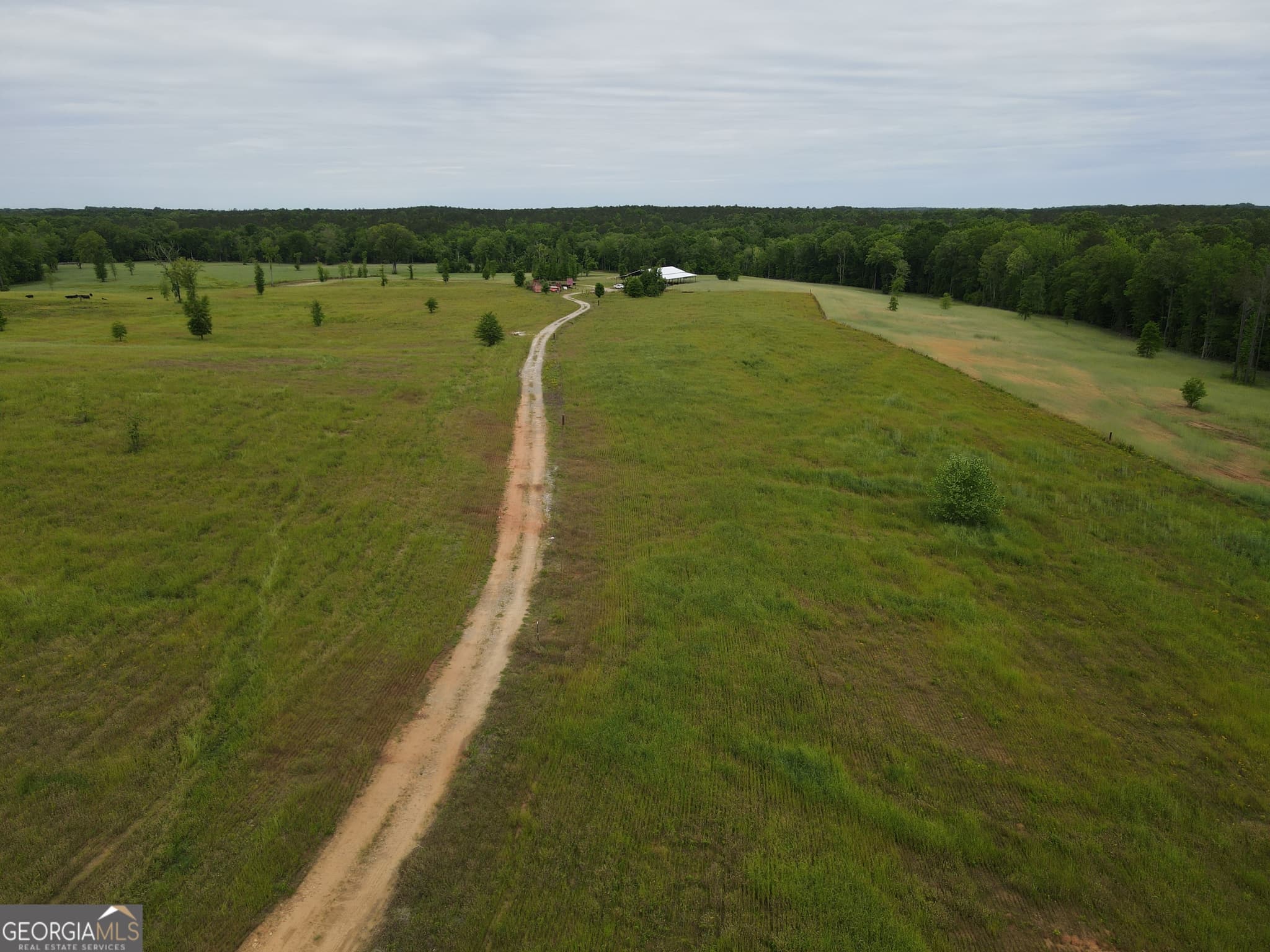 agriculture for sale at 1120 Julia Jordan Road, Roberta, GA 31078 — photo 4