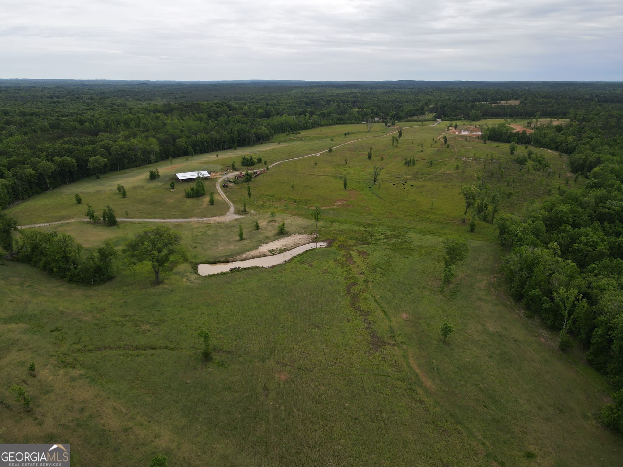 agriculture for sale at 1120 Julia Jordan Road, Roberta, GA 31078 — photo 8