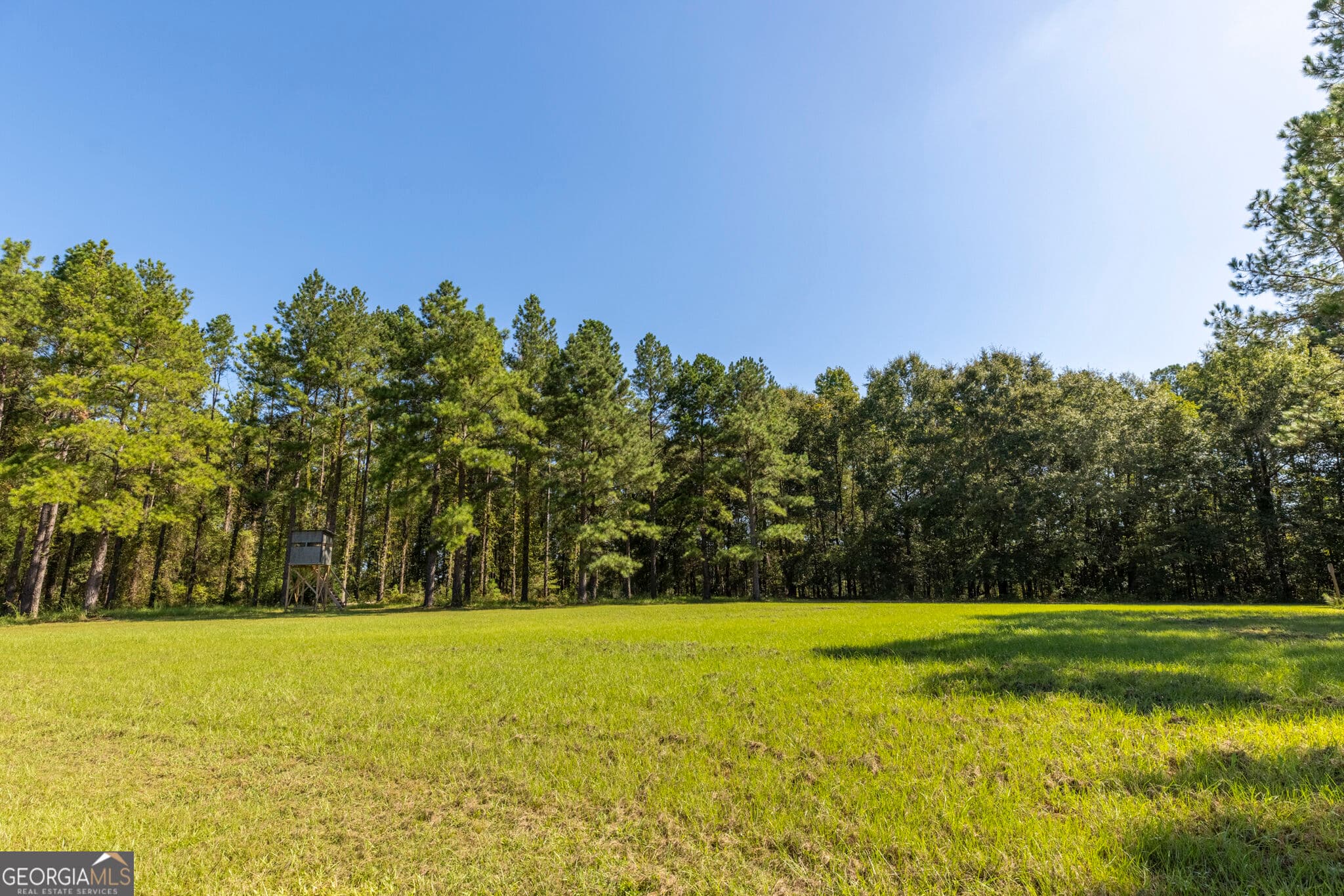 agriculture for sale at 568 Highway 118, Smithville, GA 31787 — photo 6