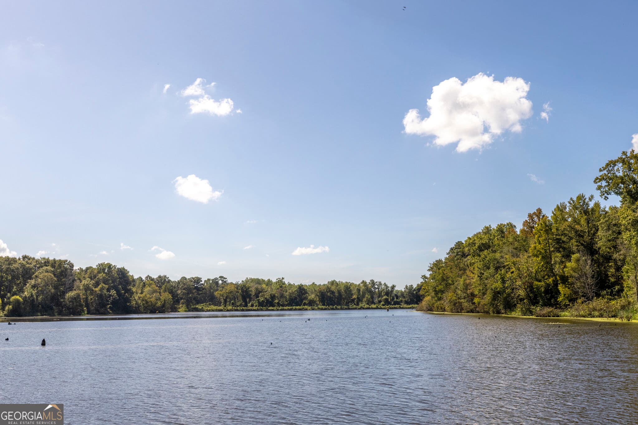 agriculture for sale at 568 Highway 118, Smithville, GA 31787 — photo 1 of 52