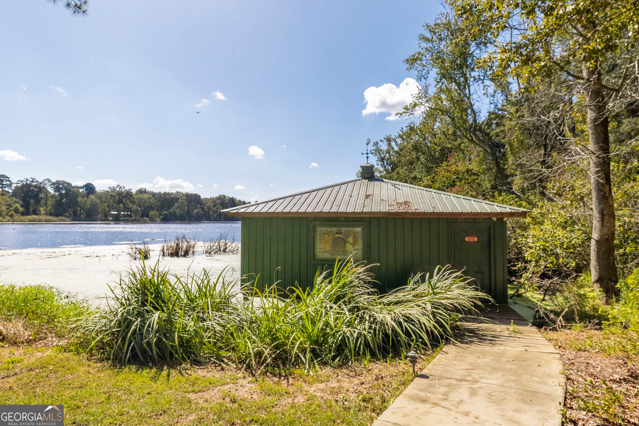 agriculture for sale at 568 Highway 118, Smithville, GA 31787 — photo 9