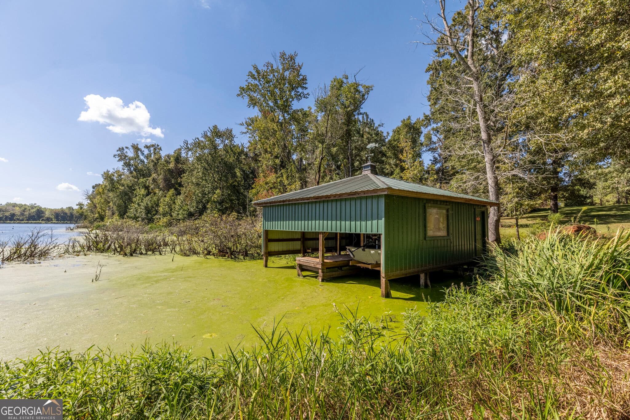 agriculture for sale at 568 Highway 118, Smithville, GA 31787 — photo 10
