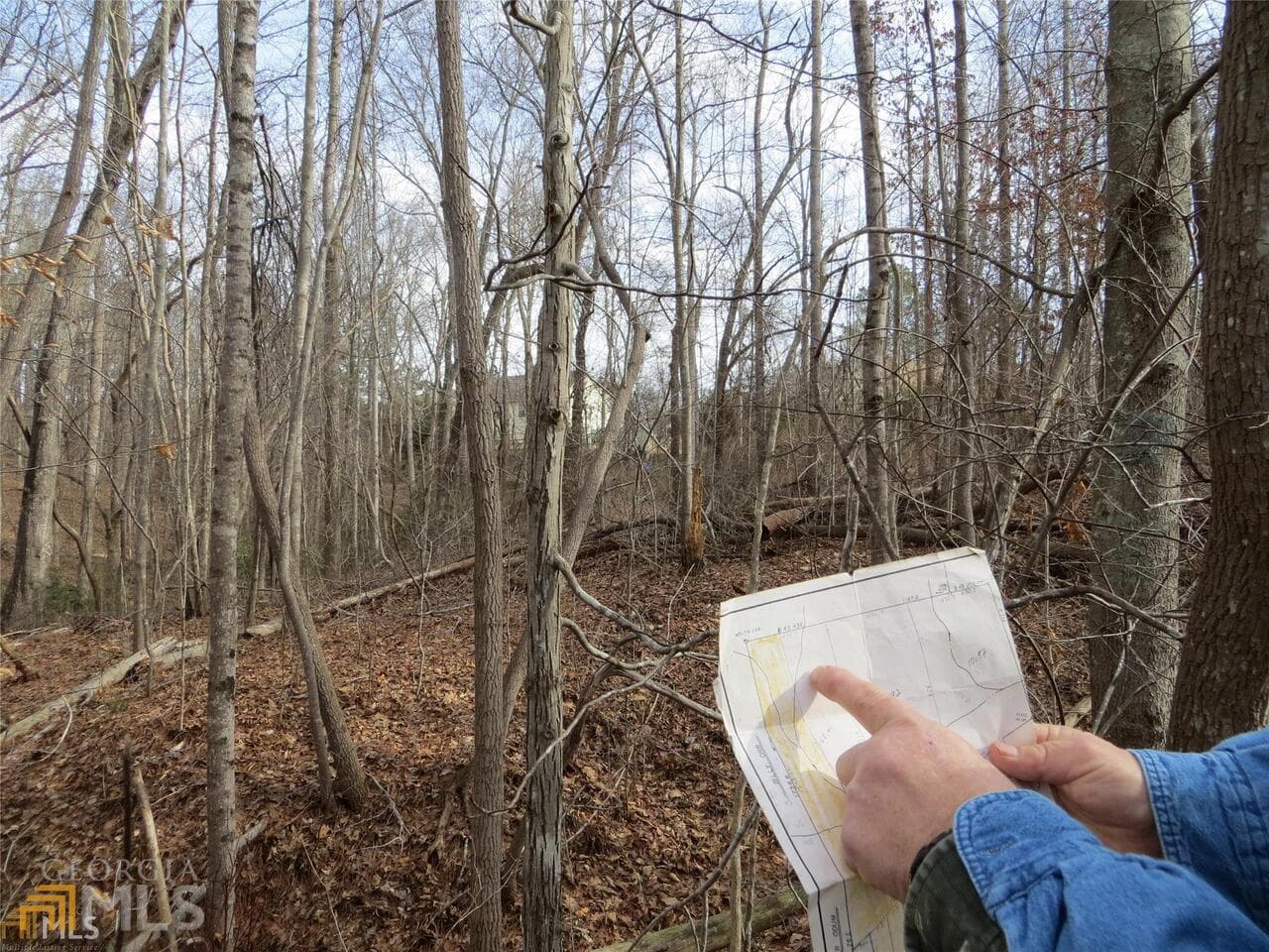 unimproved land for sale at 6151 Spout Springs, Flowery Branch, GA 30542 — photo 7