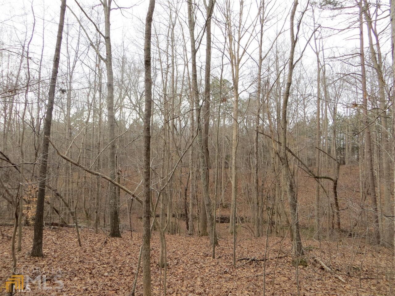 unimproved land for sale at 6151 Spout Springs, Flowery Branch, GA 30542 — photo 9