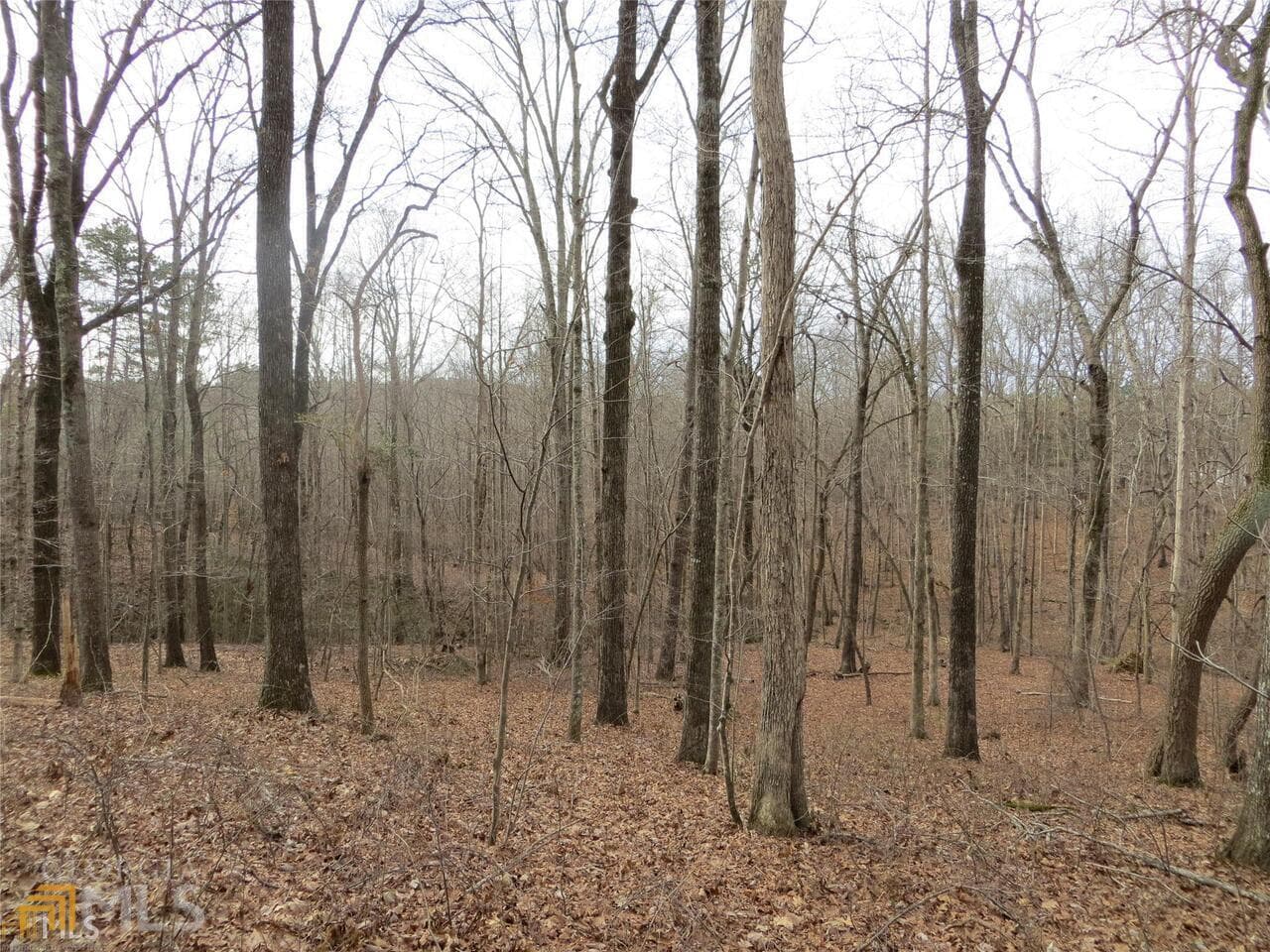 unimproved land for sale at 6151 Spout Springs, Flowery Branch, GA 30542 — photo 10