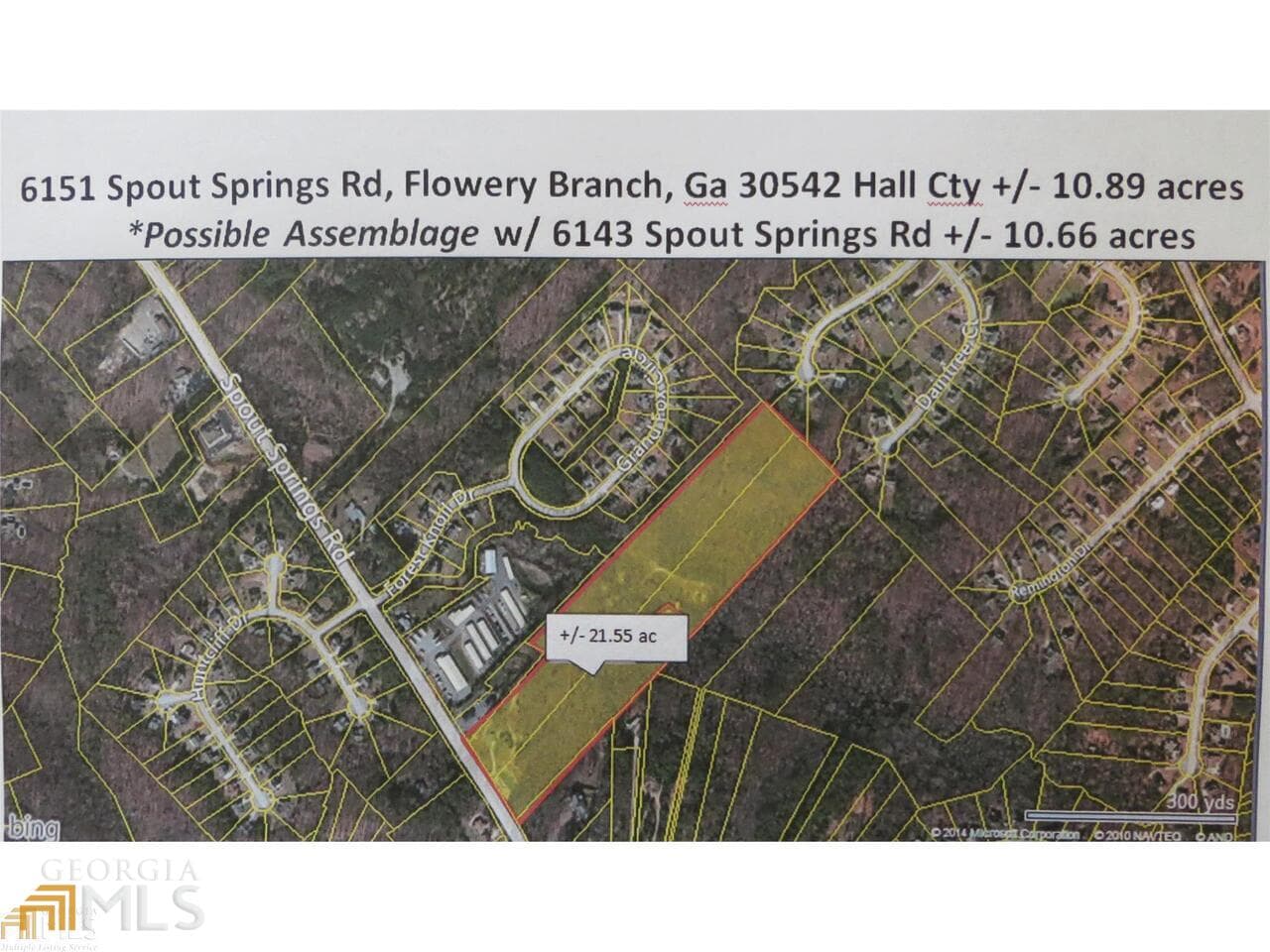 unimproved land for sale at 6151 Spout Springs, Flowery Branch, GA 30542 — photo 4