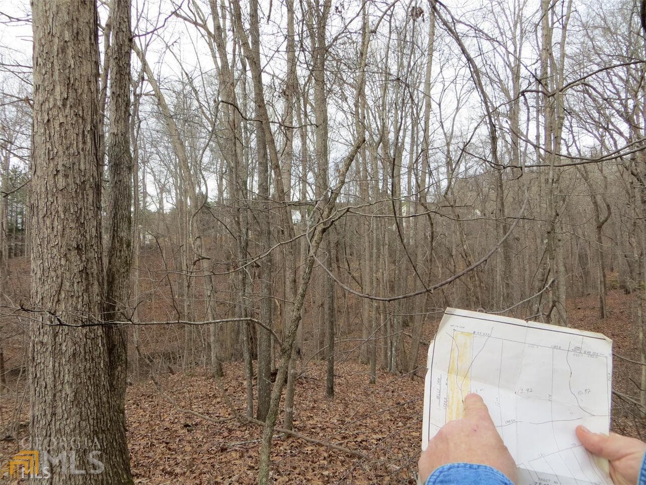 unimproved land for sale at 6151 Spout Springs, Flowery Branch, GA 30542 — photo 8