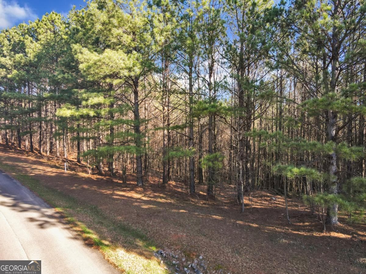 estate lot for sale at 0 Foxpaw Leaf Lane 38, Ellijay, GA 30536 — photo 2