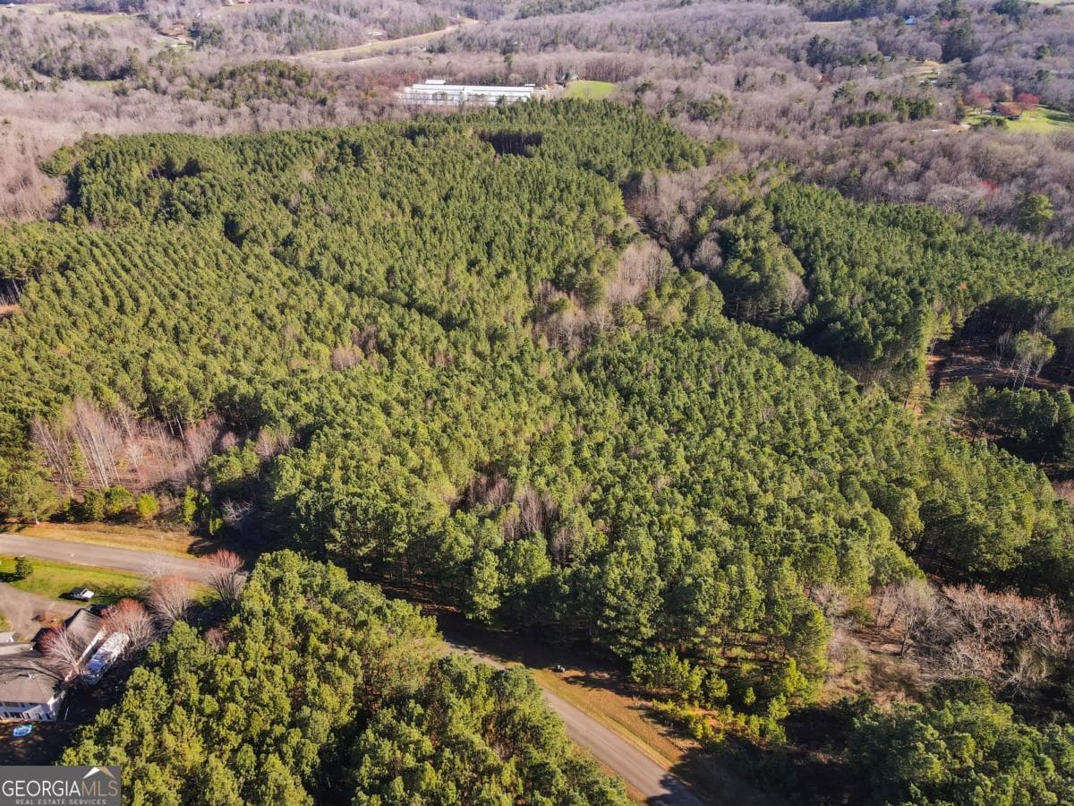 estate lot for sale at 0 Foxpaw Leaf Lane 38, Ellijay, GA 30536 — photo 6