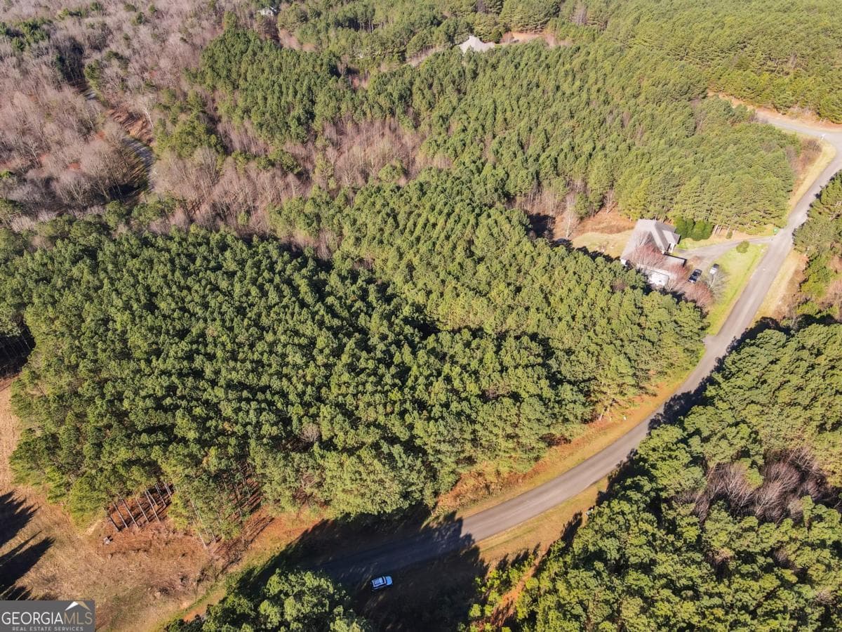 estate lot for sale at 0 Foxpaw Leaf Lane 38, Ellijay, GA 30536 — photo 7