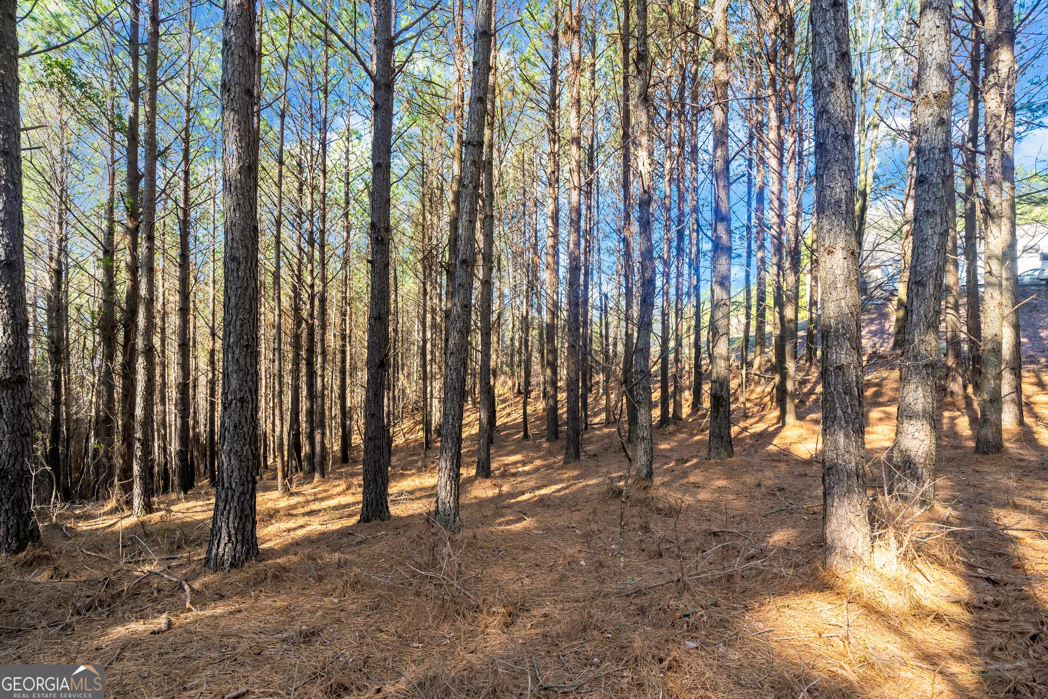 estate lot for sale at 0 Foxpaw Leaf Lane 38, Ellijay, GA 30536 — photo 3