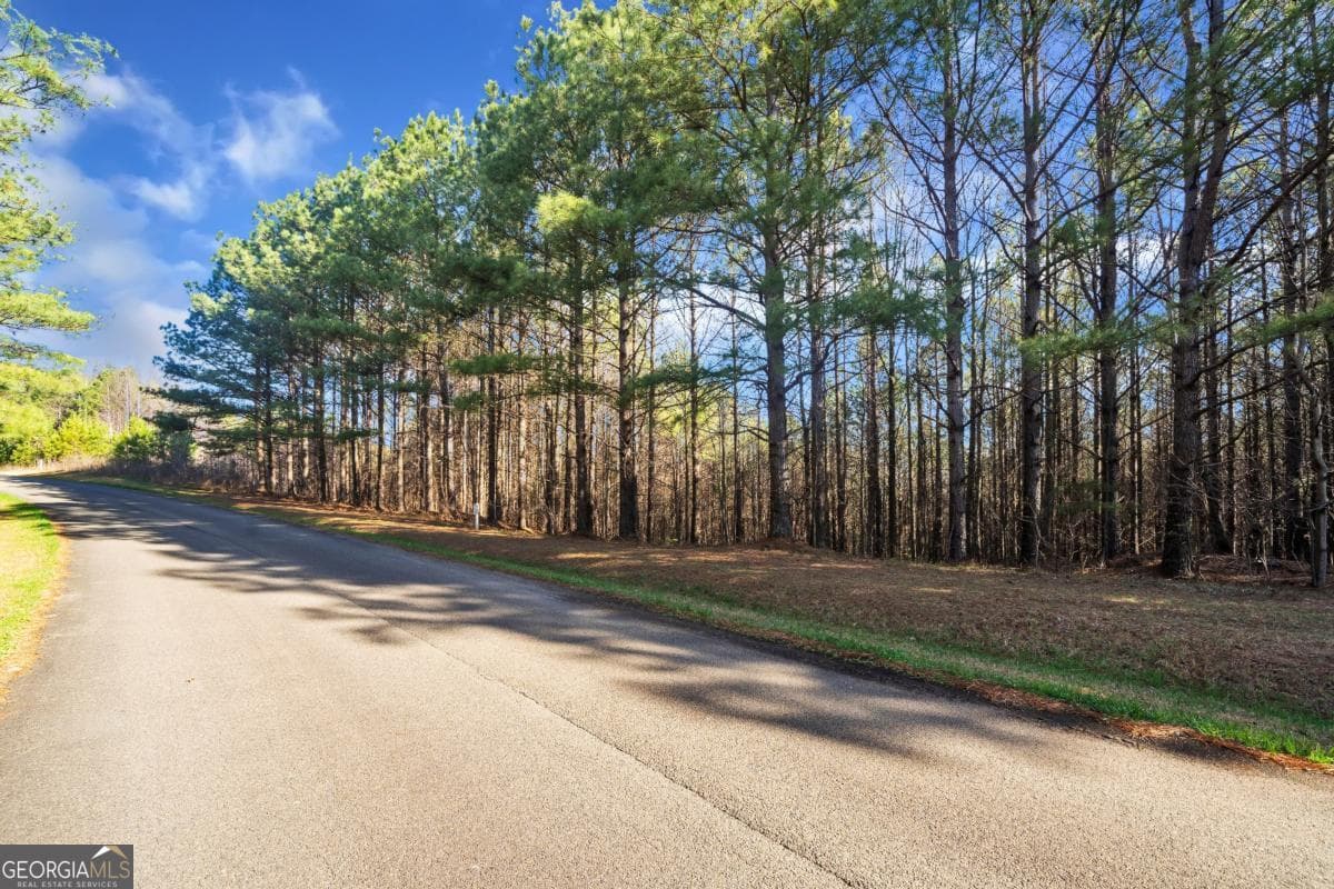 estate lot for sale at 0 Foxpaw Leaf Lane 38, Ellijay, GA 30536 — photo 1 of 12