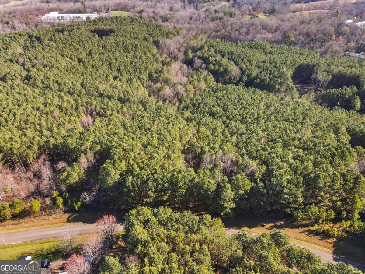estate lot for sale at 0 Foxpaw Leaf Lane 38, Ellijay, GA 30536 — photo 5