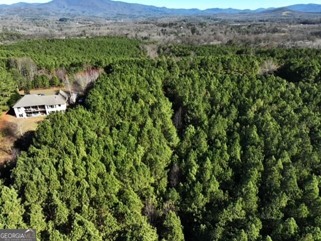 estate lot for sale at 0 Foxpaw Leaf Lane 38, Ellijay, GA 30536 — photo 9