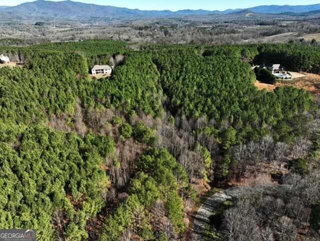 estate lot for sale at 0 Foxpaw Leaf Lane 38, Ellijay, GA 30536 — photo 10