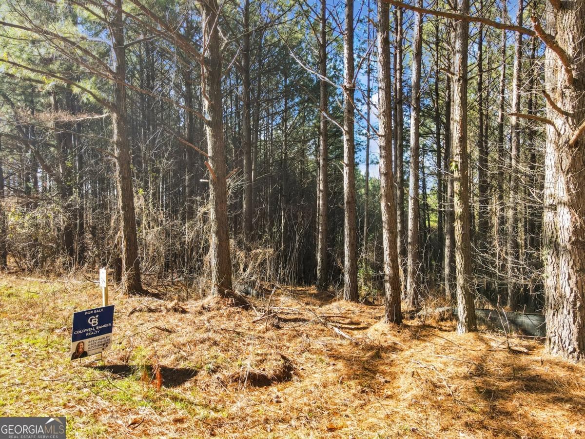estate lot for sale at 0 Foxpaw Leaf Lane 38, Ellijay, GA 30536 — photo 4