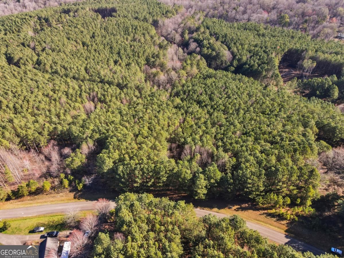 estate lot for sale at 0 Foxpaw Leaf Lane 38, Ellijay, GA 30536 — photo 8
