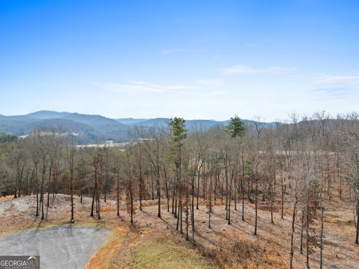 residential lot for sale at LOT 162 Ridge Drive, Morganton, GA 30560 — photo 6