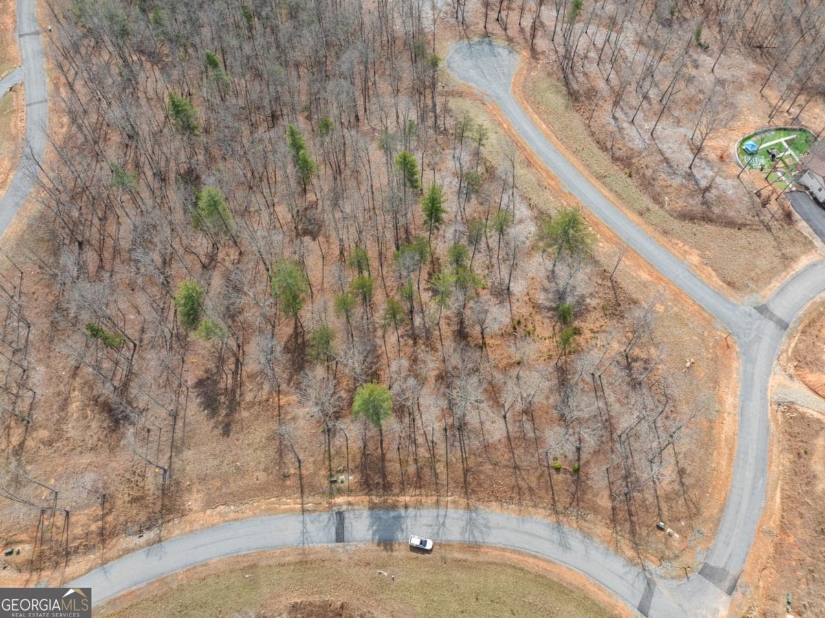 residential lot for sale at LOT 162 Ridge Drive, Morganton, GA 30560 — photo 7