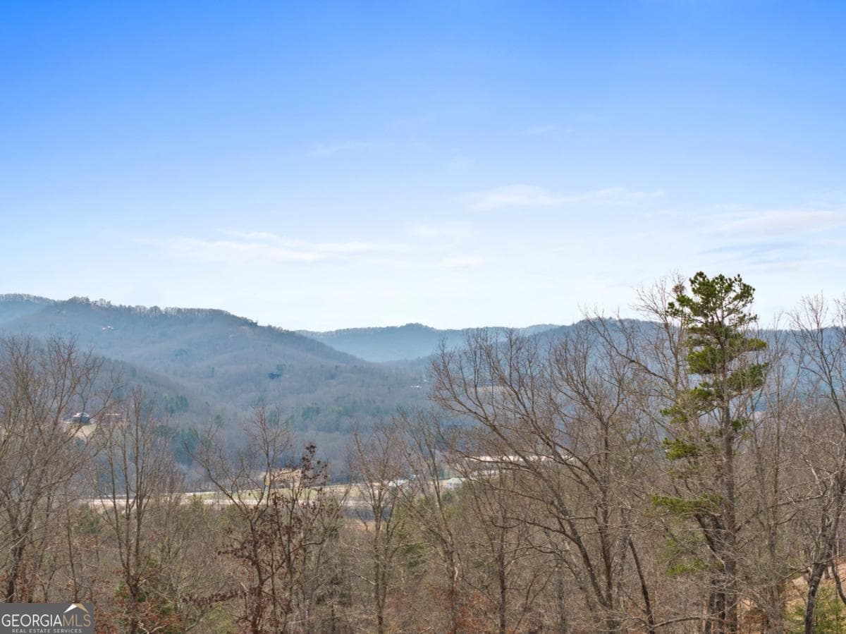 residential lot for sale at LOT 162 Ridge Drive, Morganton, GA 30560 — photo 3