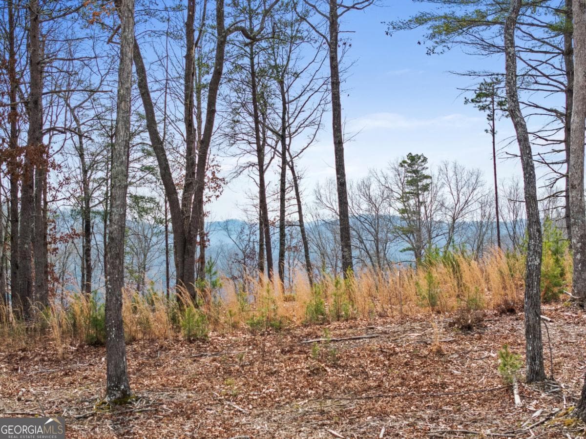 residential lot for sale at LOT 162 Ridge Drive, Morganton, GA 30560 — photo 1 of 15