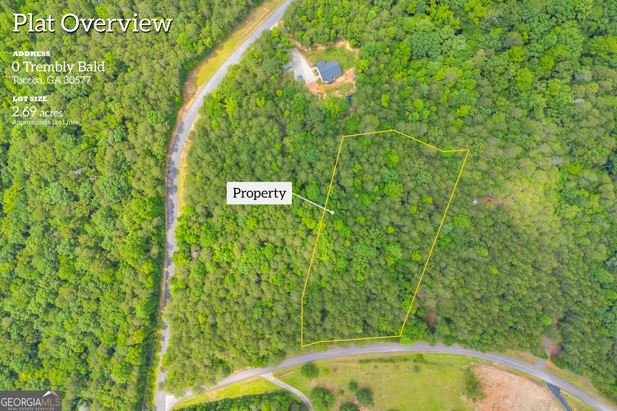 residential lot for sale at 0 Trembly Bald Road, Toccoa, GA 30577 — photo 2