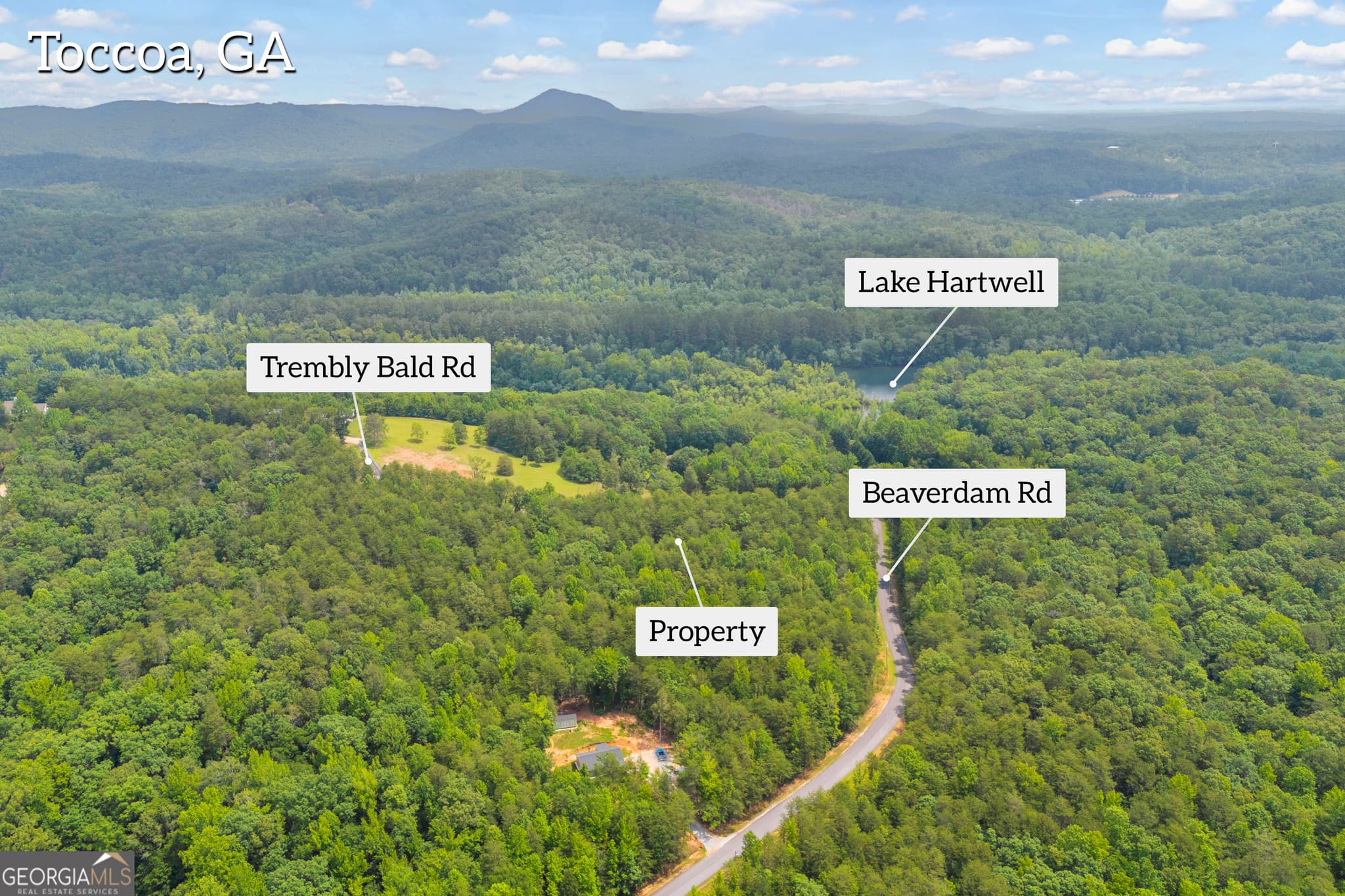 residential lot for sale at 0 Trembly Bald Road, Toccoa, GA 30577 — photo 8