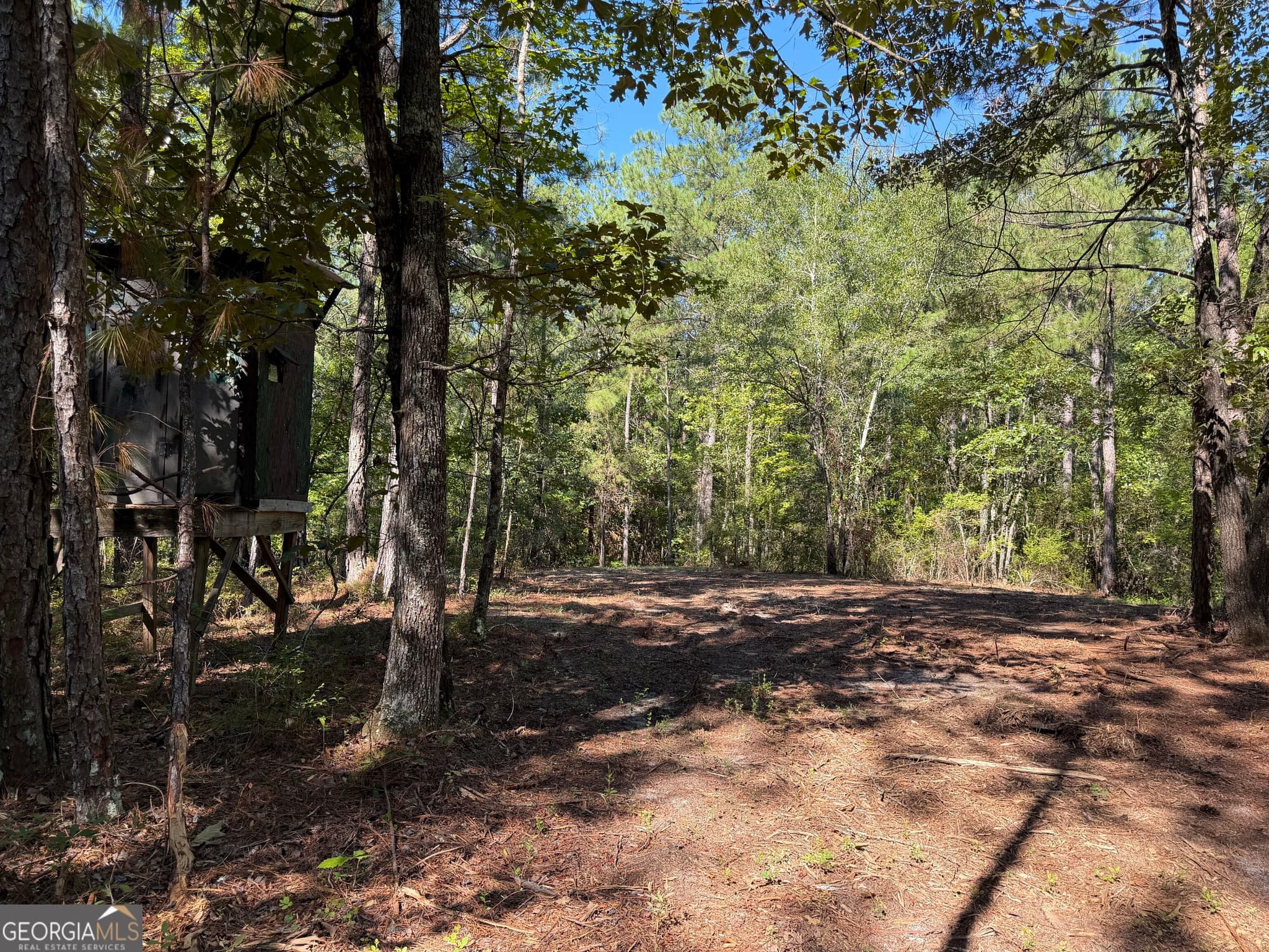 unimproved land for sale at 0 Pig Road, Bartow, GA 30413 — photo 2