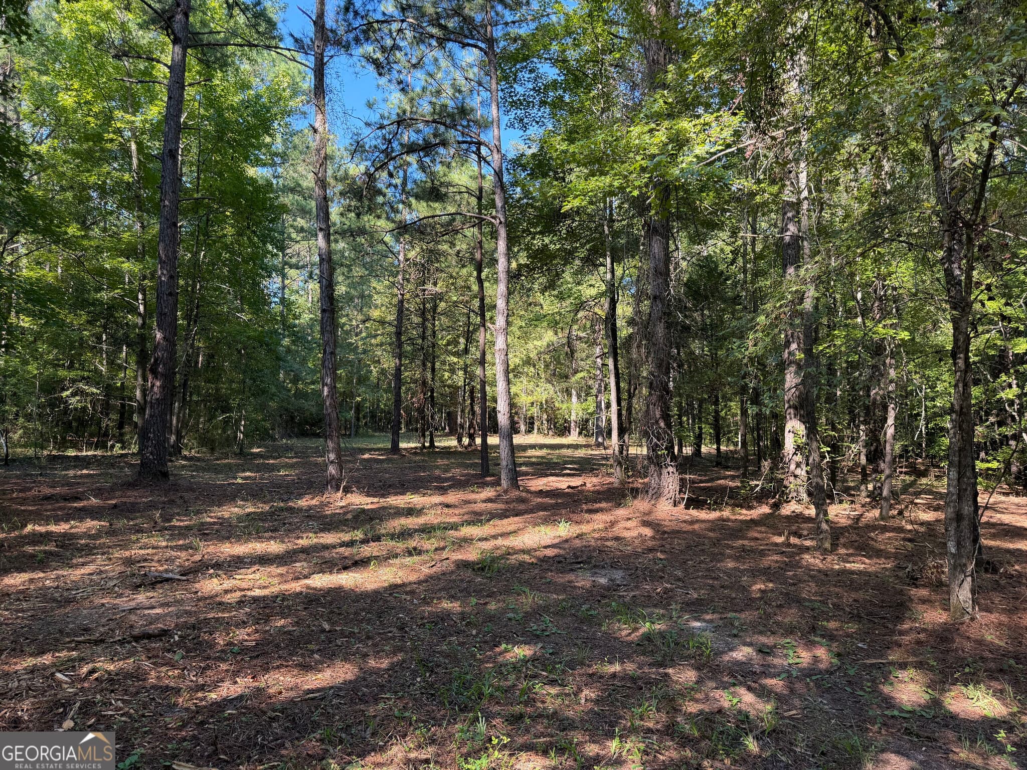 unimproved land for sale at 0 Pig Road, Bartow, GA 30413 — photo 7
