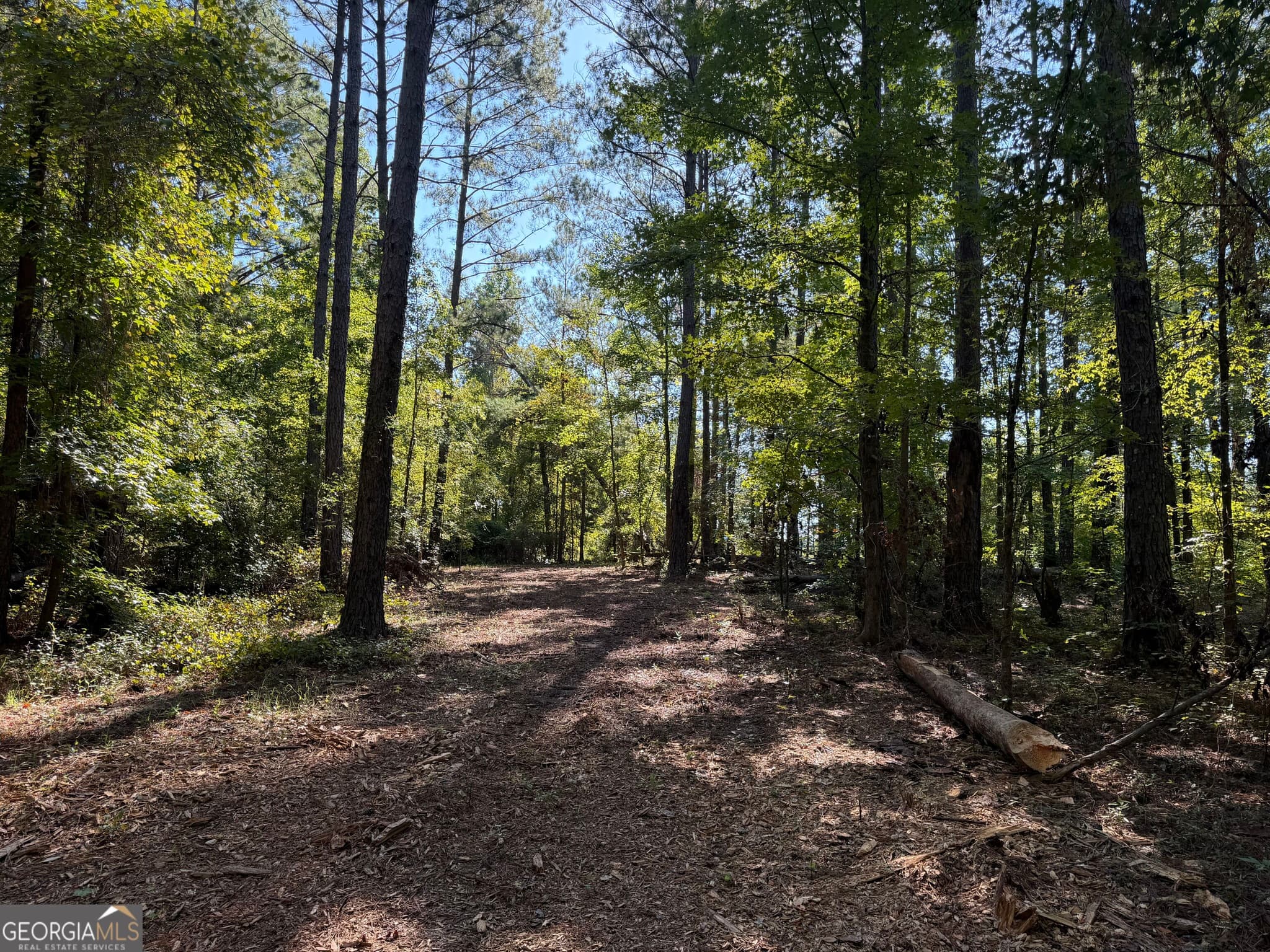 unimproved land for sale at 0 Pig Road, Bartow, GA 30413 — photo 5