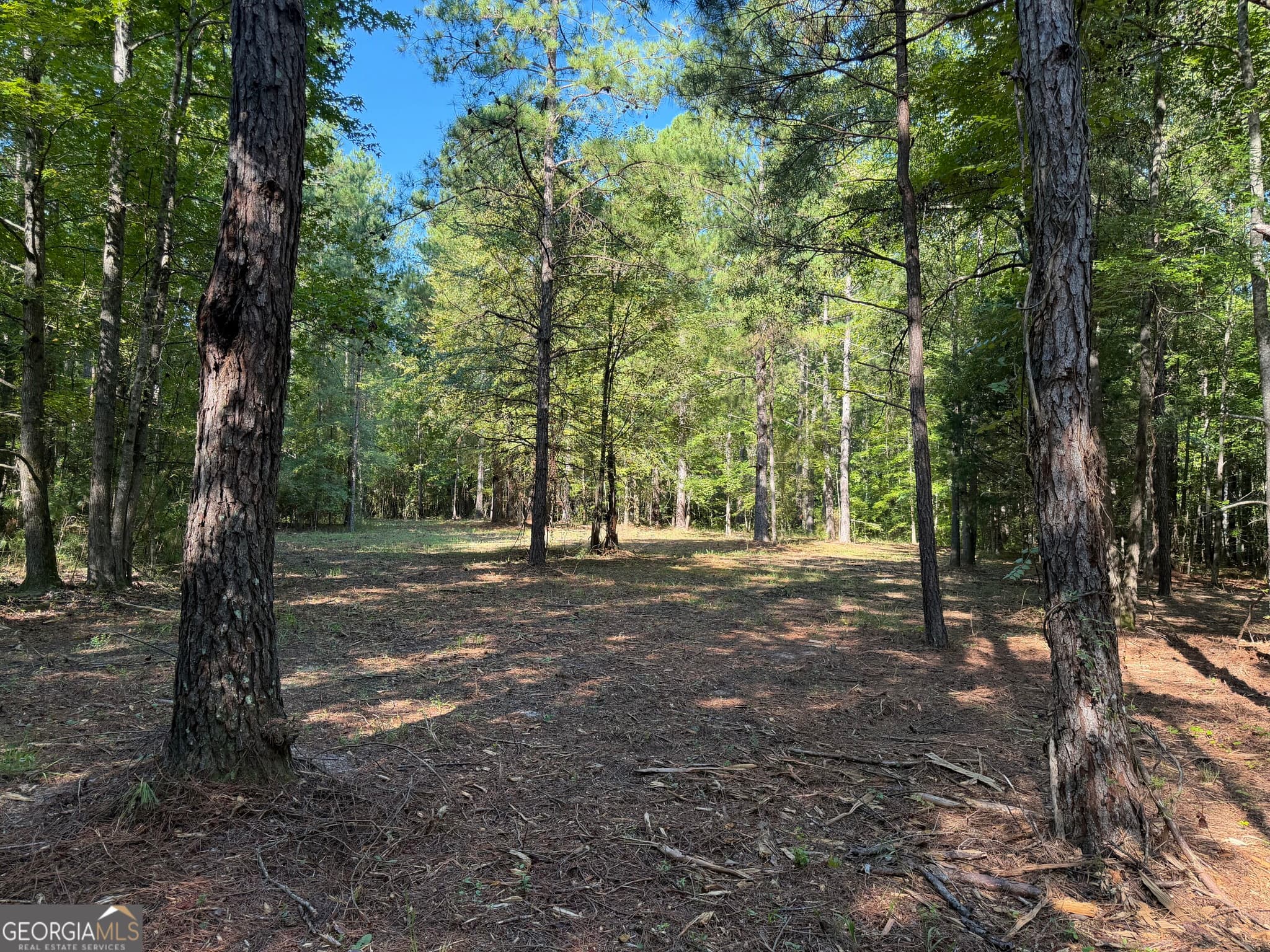 unimproved land for sale at 0 Pig Road, Bartow, GA 30413 — photo 9