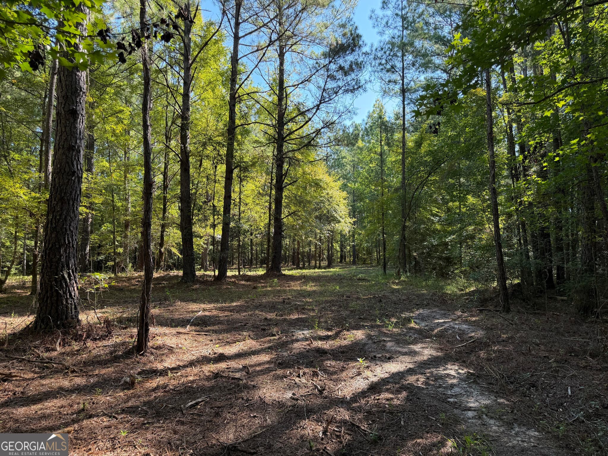 unimproved land for sale at 0 Pig Road, Bartow, GA 30413 — photo 10