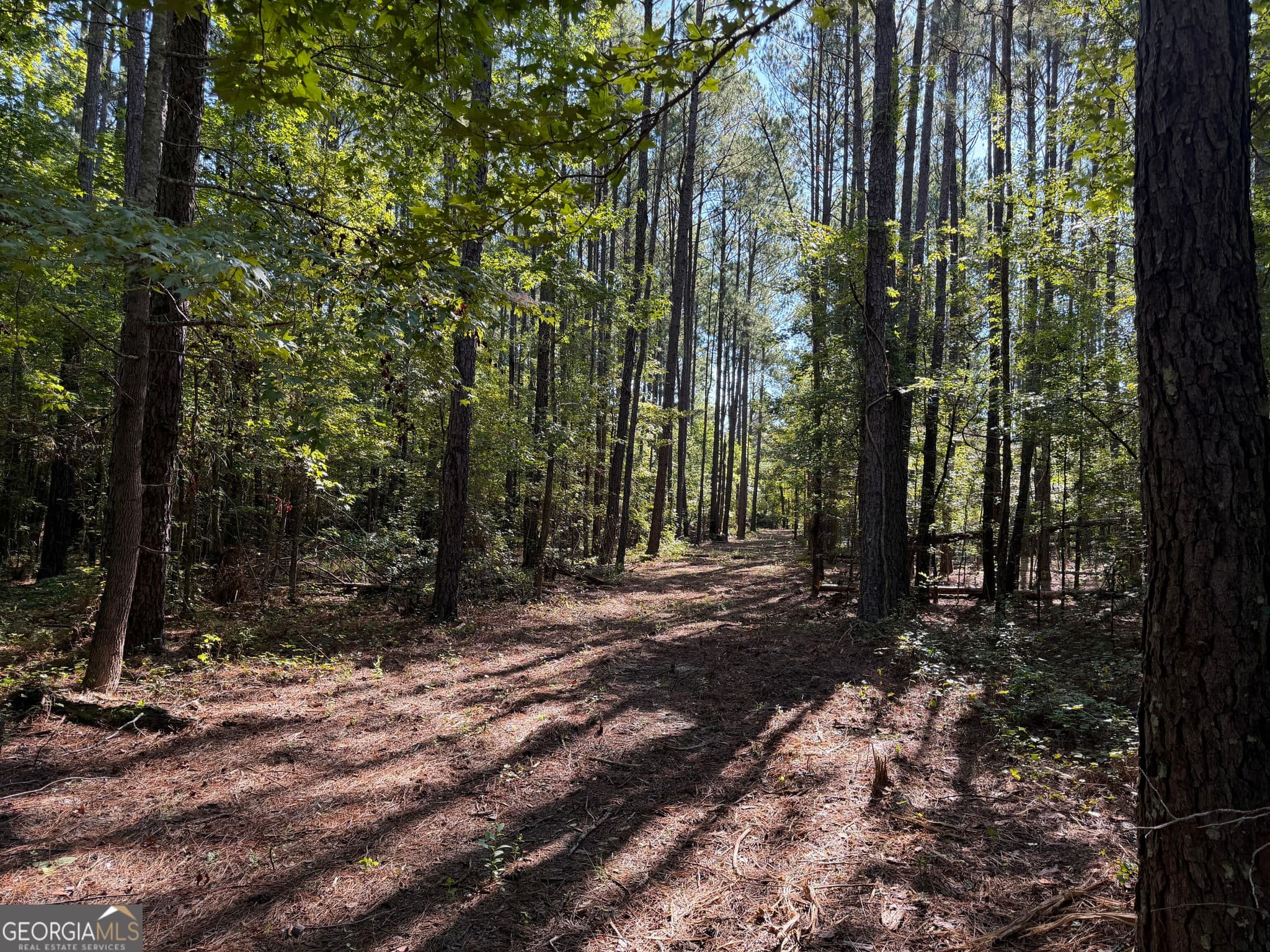 unimproved land for sale at 0 Pig Road, Bartow, GA 30413 — photo 8