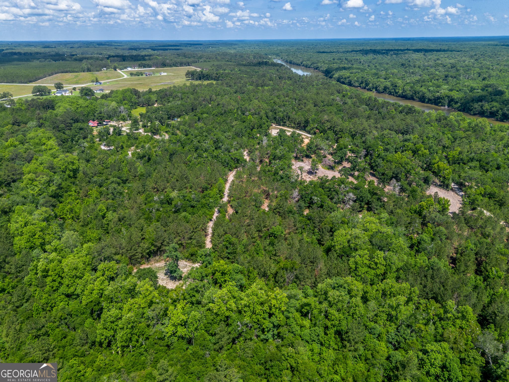 residential lot for sale at 0 Red Oak Drive, Jesup, GA 31545 — photo 6