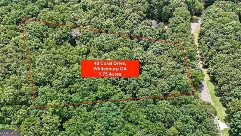 unimproved land for sale at 40 Coral Drive, Whitesburg, GA 30185 — photo 2