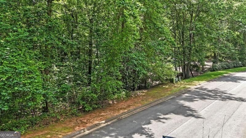 unimproved land for sale at 40 Coral Drive, Whitesburg, GA 30185 — photo 6