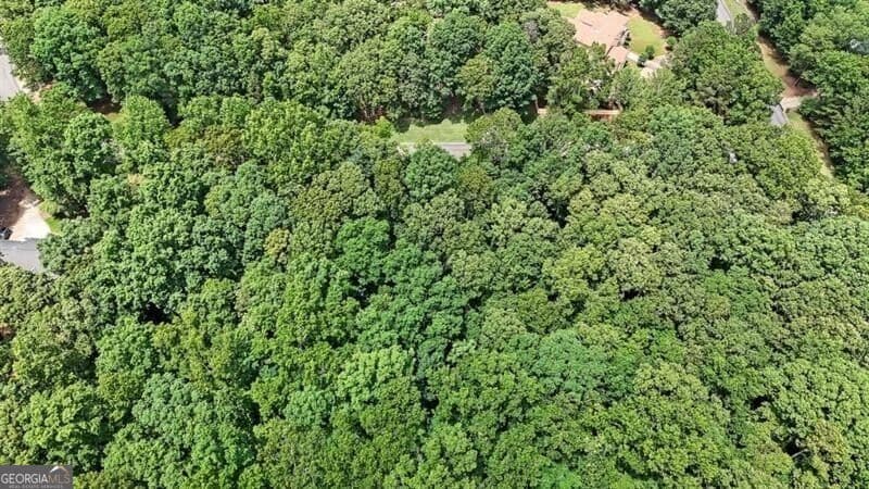 unimproved land for sale at 40 Coral Drive, Whitesburg, GA 30185 — photo 7